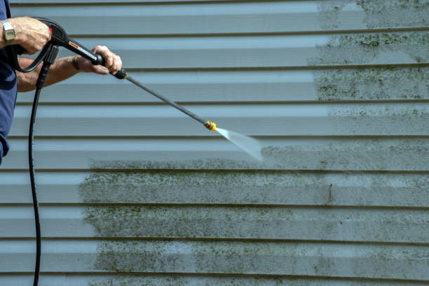 Best Rust Removal  in Glendale, MS